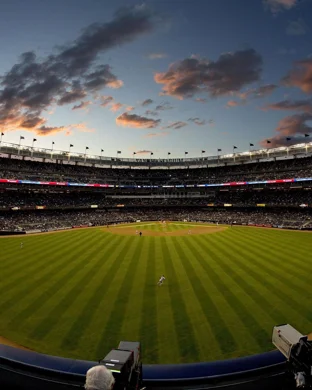 Chicago Cubs vs. Baltimore Orioles