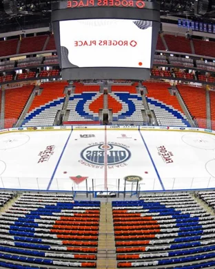 Anaheim Ducks vs. Washington Capitals