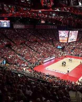 Kansas Jayhawks Women's Volleyball vs. Cincinnati Bearcats