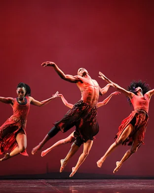 Riverdance 30 - The New Generation